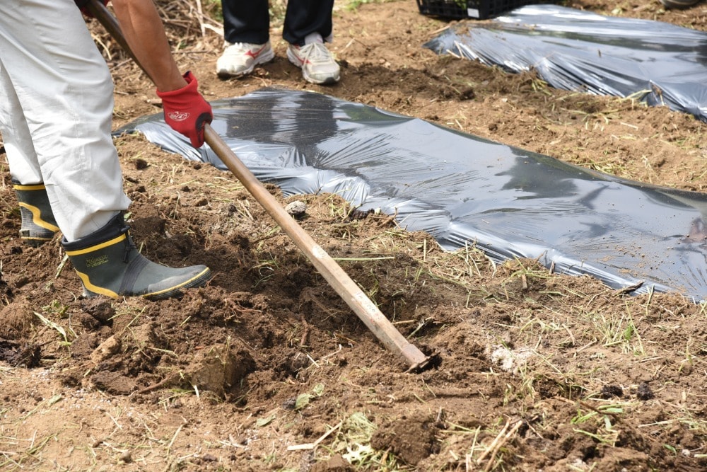 果樹農家が教える本格土づくり